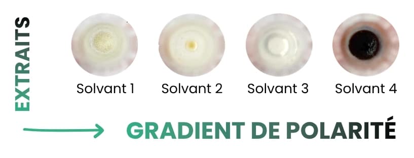 Gradient de polarité image cas, gradient d epolarité soxtherm